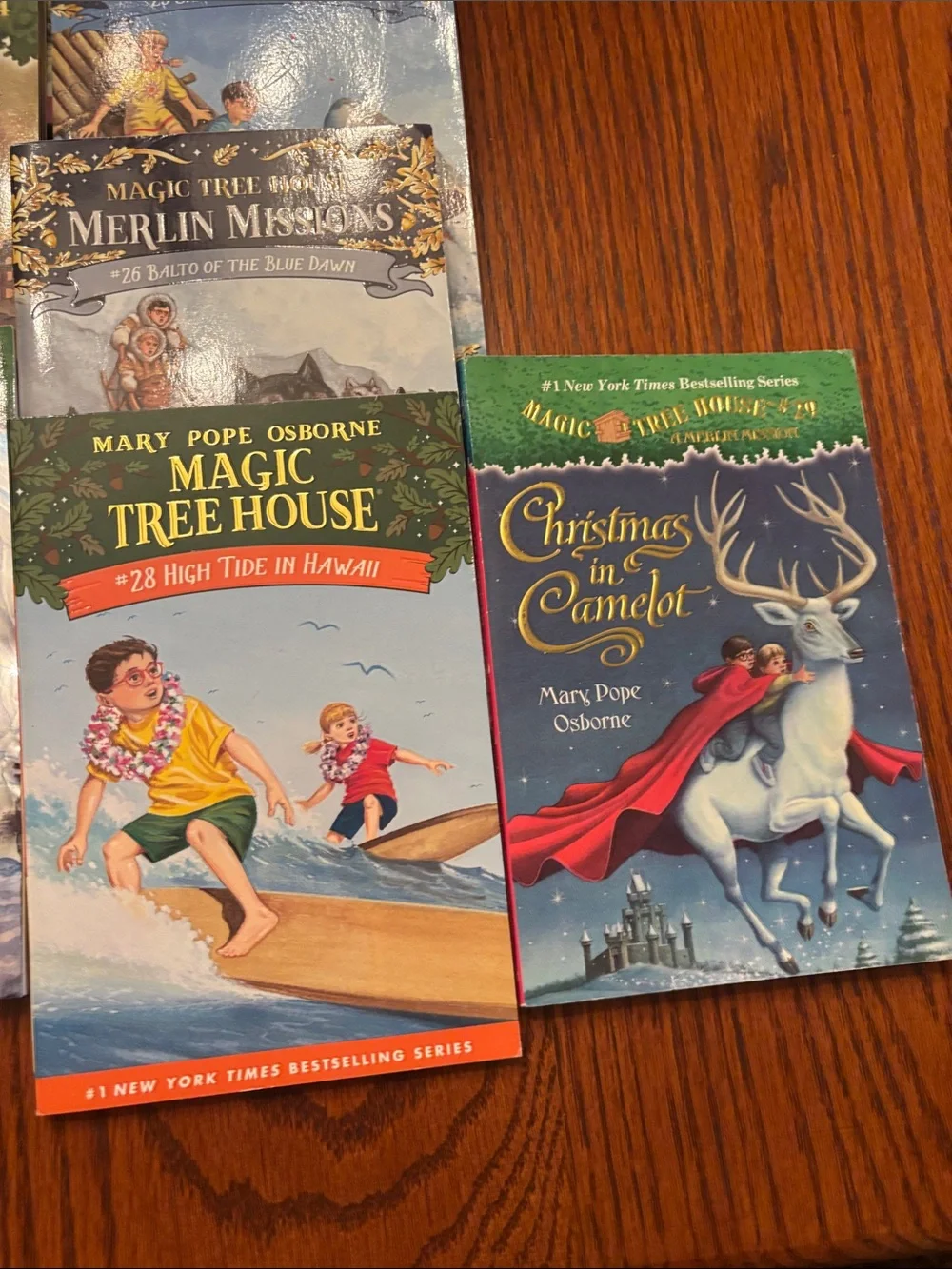 Magic Treehouse Novels (lot of 17)